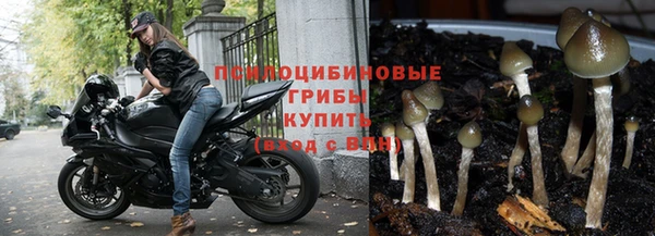 скорость Нефтегорск